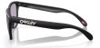 画像2: 【OAKLEY正規販売】オークリーサングラス 009245-9245E3 FROGSKINS (2)