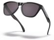 画像4: 【OAKLEY正規販売】オークリーサングラス 009245-924575 FROGSKINS (4)